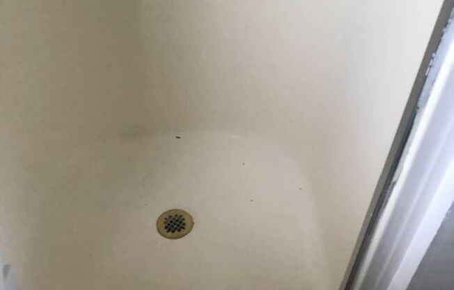 Studio, 1 bath, $1,650, Unit 17