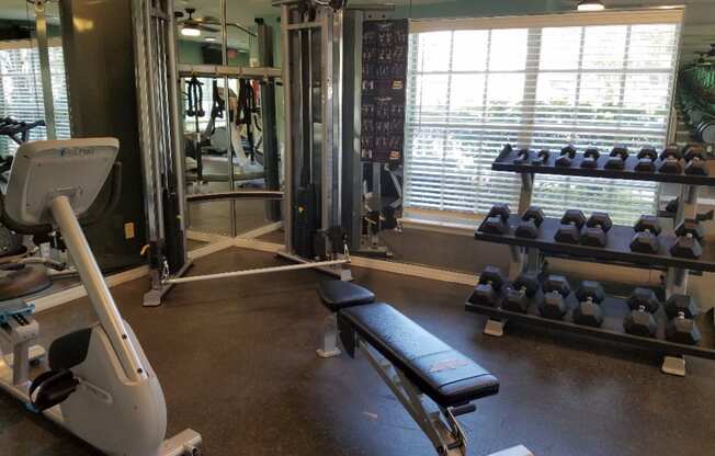 the gym is equipped with weights and cardio equipment