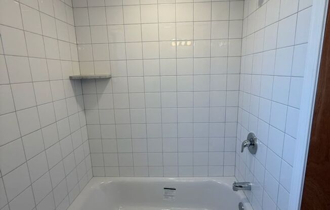 Studio, 1 bath, 487 sqft, $1,300, Unit Fifth 308