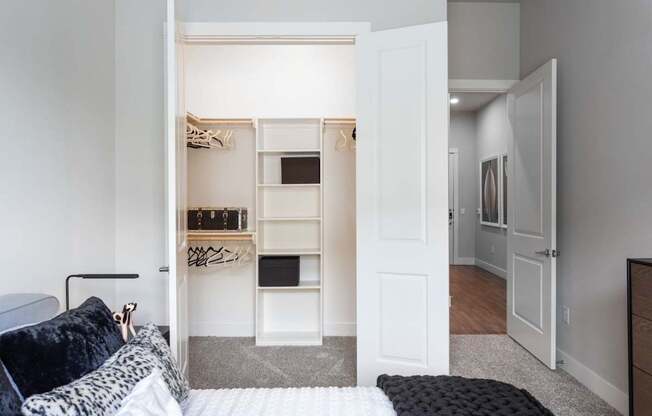 shelving unites for closet organization
