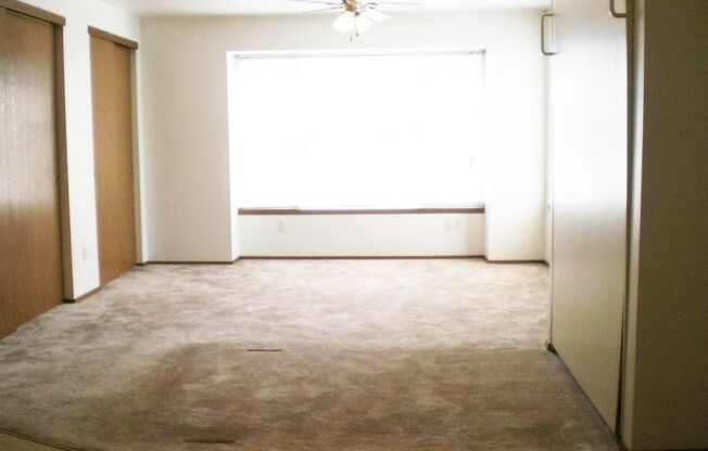 Studio, 1 bath, 534 sqft, $1,000, Unit 101