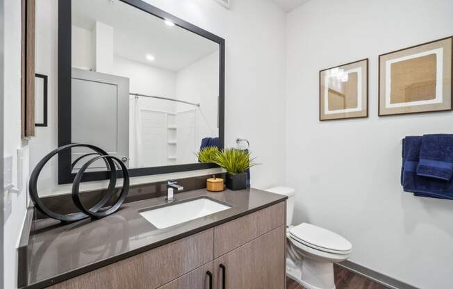 a bathroom with a mirror and a sink and a toilet