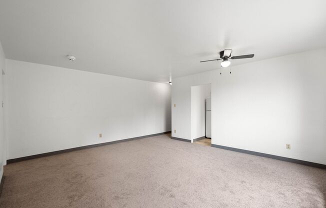 1 bed, 1 bath, 800 sqft, $450, Unit 2117 Brownsville Road - B21