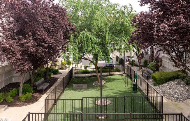 A small green dog park