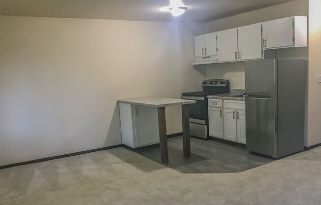 Studio, 1 bath, 300 sqft, $1,295, Unit 102-314