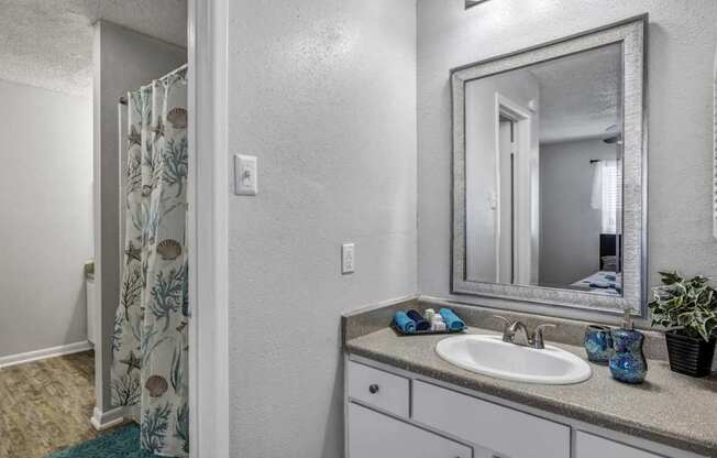 Luxurious Bathroom at Viva Max, Texas  