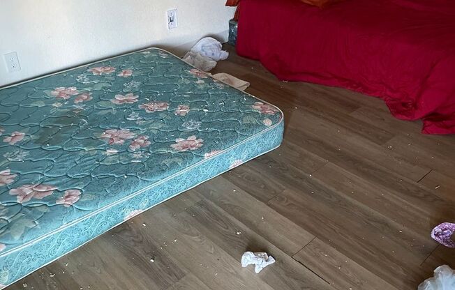 Studio, 1 bath, 285 sqft, $599, Unit C 375