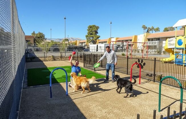 A man is playing with two dogs in a play area.