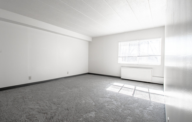 1 bed, 1 bath, 529 sqft, $850, Unit Pine Cone Village C-24