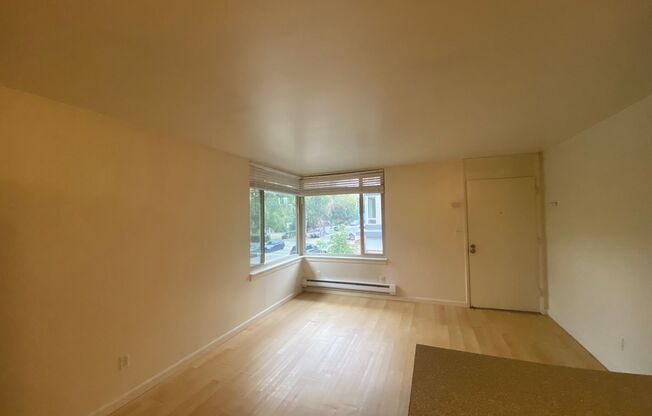 Studio, 1 bath, 425 sqft, $1,350, Unit Unit 15