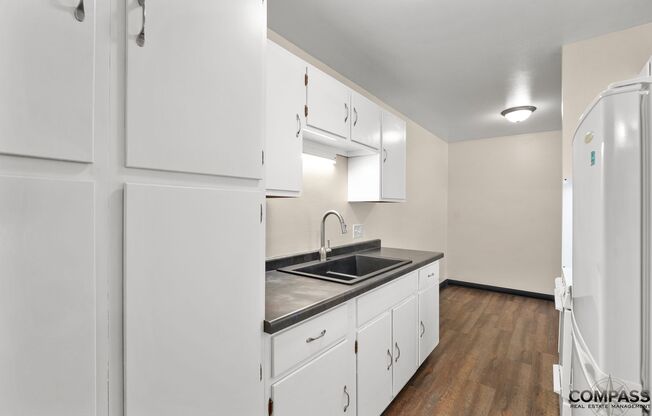 1 bed, 1 bath, 480 sqft, $875, Unit 113