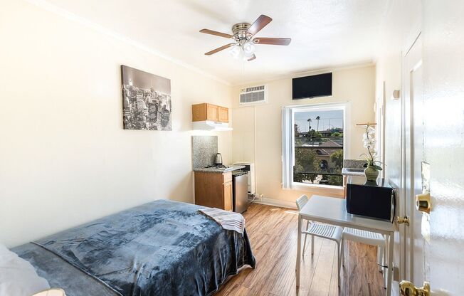Studio, 1 bath, 156 sqft, $1,145.83, Unit 304