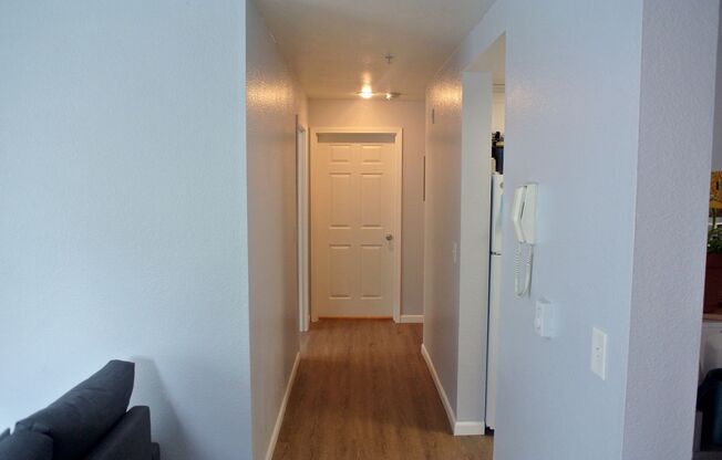 1 bed, 1 bath, 475 sqft, $1,850, Unit 203