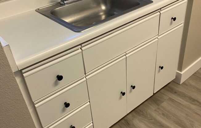Studio, 1 bath, 462 sqft, $1,297, Unit 329