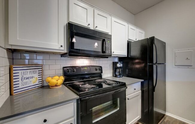 Mckinney apartments for rent with a kitchen