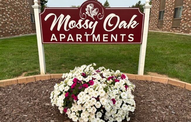 2989 Mossy Oak Circle