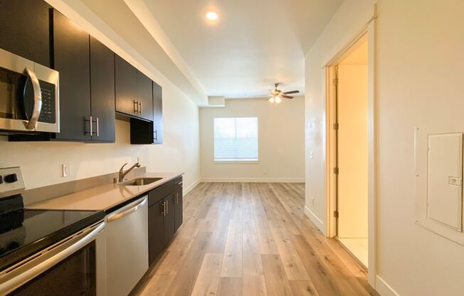 Studio, 1 bath, 390 sqft, $1,199, Unit 206*