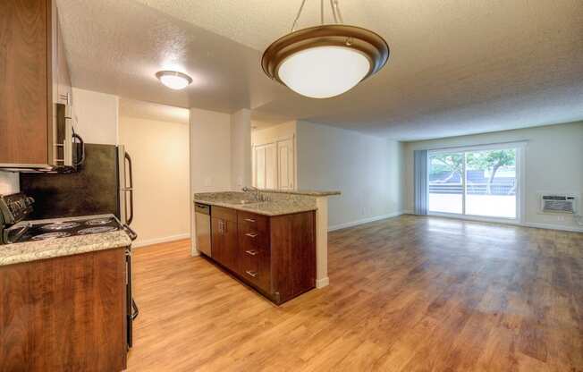 Kitchen Living Room and Private Patio, Ceiling Light and Wood Cabinets