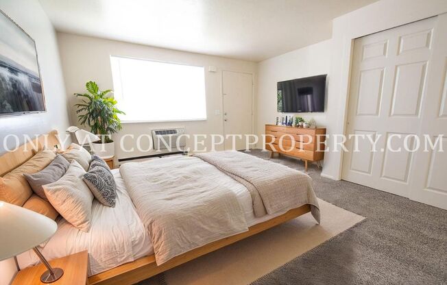 Studio, 1 bath, 360 sqft, $699, Unit 264