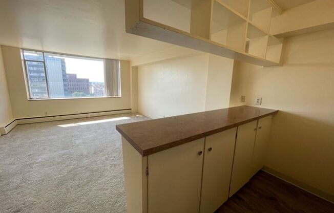 Studio, 1 bath, 375 sqft, $995, Unit 908