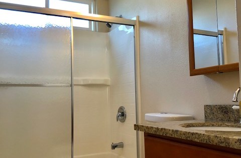 Bathroom shower and vanity