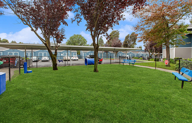 Community Dog Park with Agility Equipment at Meritage Apartments in Vallejo, CA.