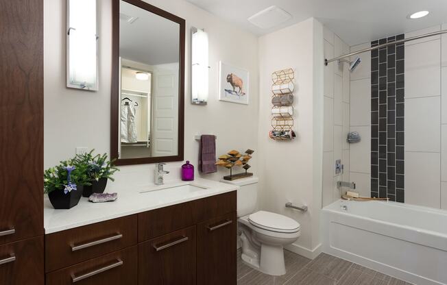 Large Soaking Tubs with Rainwater Shower Heads at 1000 Speer by Windsor, Denver, 80204