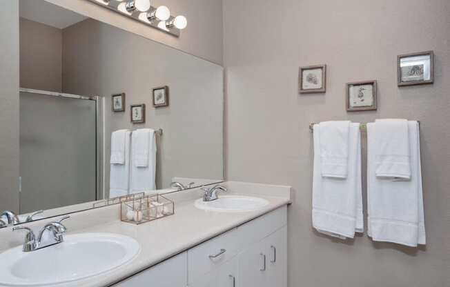 bathroom double vanity sink at Lionsgate South, Hillsboro