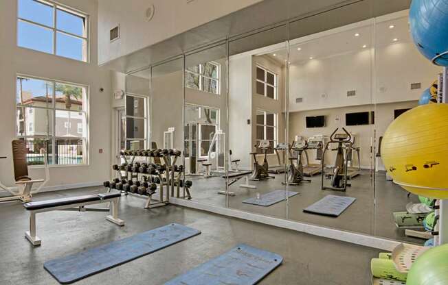 A spacious fitness center here at Mozaic at Steele Park featuring floor-to-ceiling mirrors, large windows that bring in natural light, and high ceilings for an open feel. The room includes free weights with a rack of dumbbells, a flat bench, cardio machines, exercise mats, and stability balls, creating a well-equipped space for both strength training and cardio workouts.