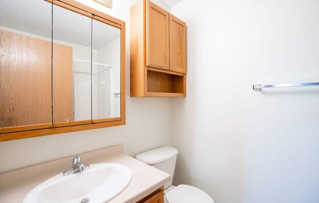 A white toilet sits next to a sink in a small bathroom. Bismarck, ND Sierra Ridge Apartments