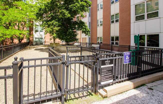 Dog Park at The Amelia in Quincy, MA 02169