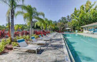 The Preserve at Westchase