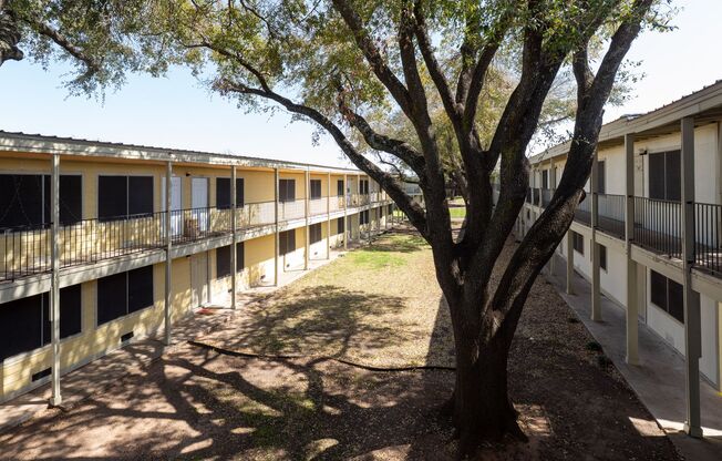 3 beds, 2 baths, 1,240 sqft, $1,500, Unit 1011 A