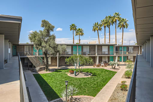 a courtyard with green grass and palm trees