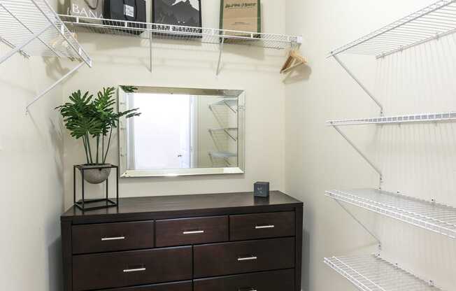 Master Closet with Framed Mirror and Storage Space at Aventura at Forest Park, St. Louis, 63110