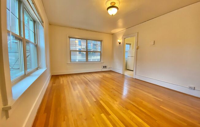 Studio, 1 bath, 365 sqft, $1,495, Unit 306