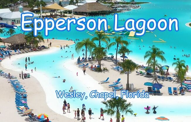 31478 Penny Surf Loop Wesley Chapel, FL 33545