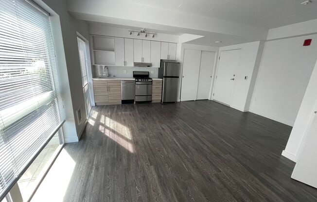 Studio, 1 bath, 325 sqft, $1,405, Unit 203
