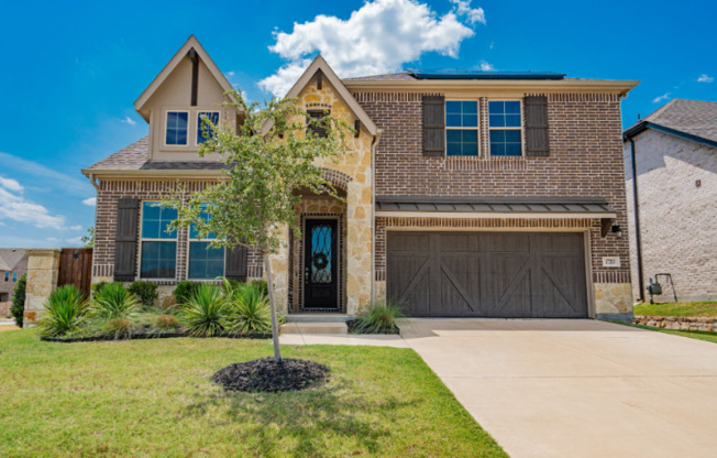 17203 TEXAS PISTACHE DR