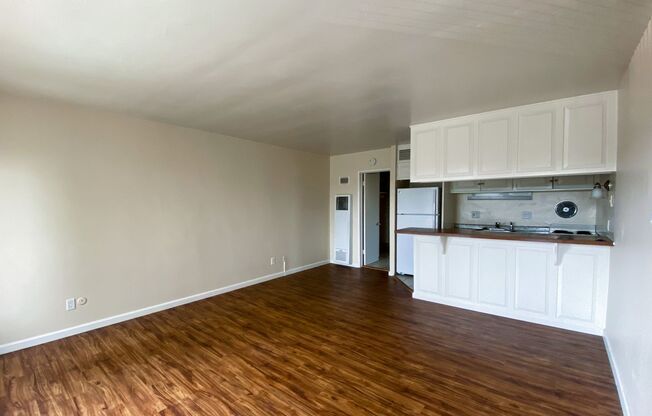 Studio, 1 bath, 398 sqft, $1,695, Unit 4201-206