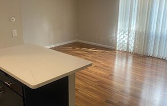 Studio, 1 bath, $1,450, Unit unit 108