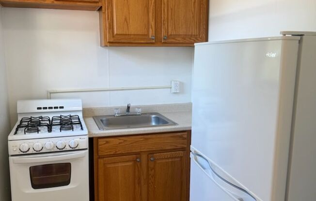 Studio, 1 bath, 487 sqft, $1,300, Unit Fifth 308