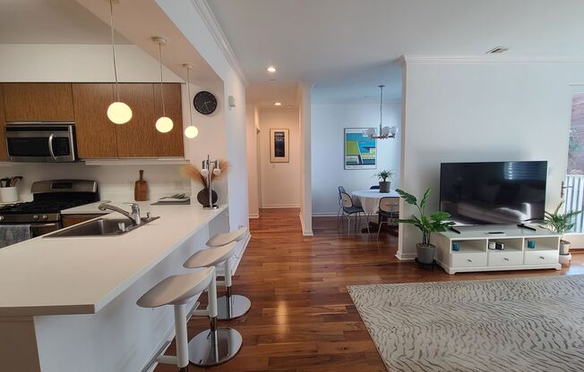 Furnished Light filled, Spacious Condo, Easy 280, 101 and Silicon Valley access - Gustavo Lopez, AMSI