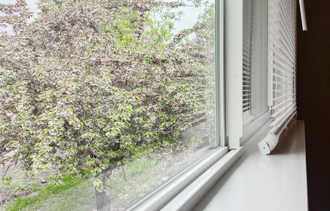 2 beds, 1 bath, 780 sqft, $1,200, Unit SC821