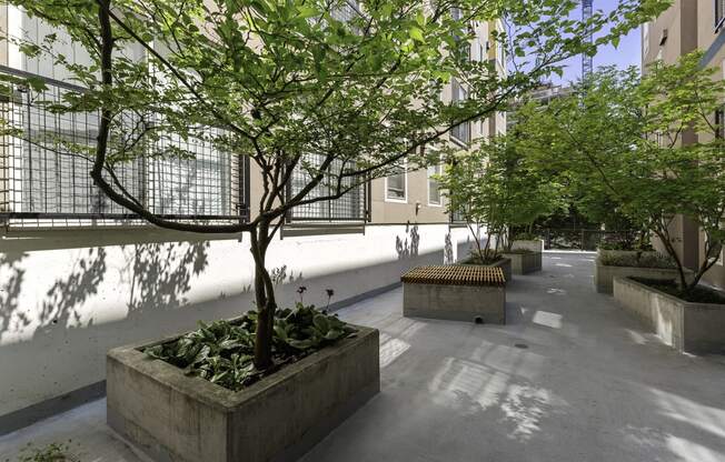 Resident Courtyard with Trees and Seating at Sir Gallahad Apartment Homes, Bellevue