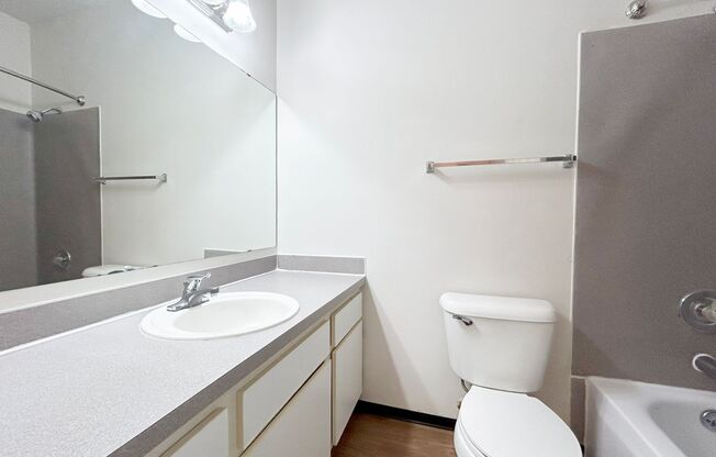 Studio, 1 bath, 265 sqft, $1,095, Unit 1428-203