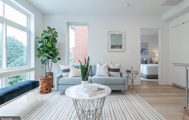 Dupont Circle Beauty with PARKING