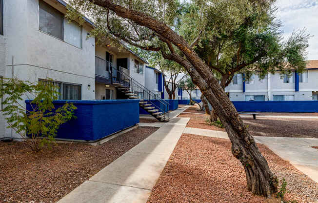 Apartments In Tucson, AZ 85716 for Rent – Midtown on Seneca – Photo of courtyard