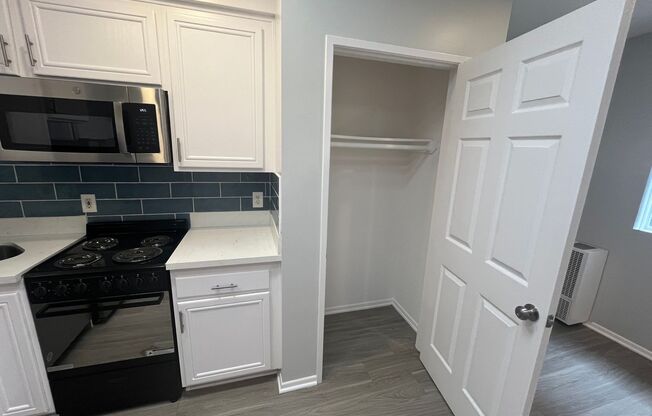 Studio, 1 bath, 238 sqft, $1,698, Unit 207