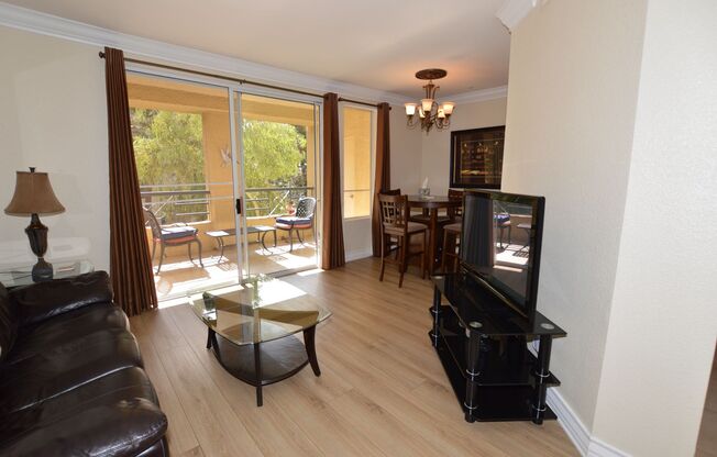 Fully Furnished, 1 Bd / 1 Ba Luxury Condo